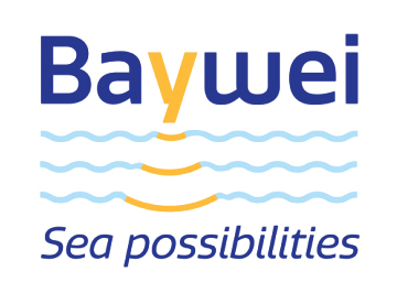Baywei logo