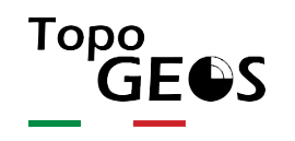 TopoGEOS logo