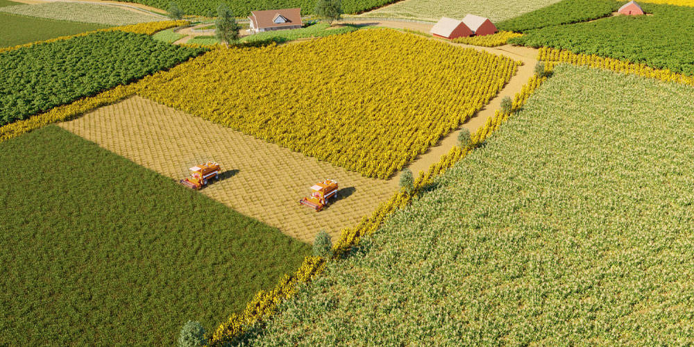 Poljoprivreda i agrikultura